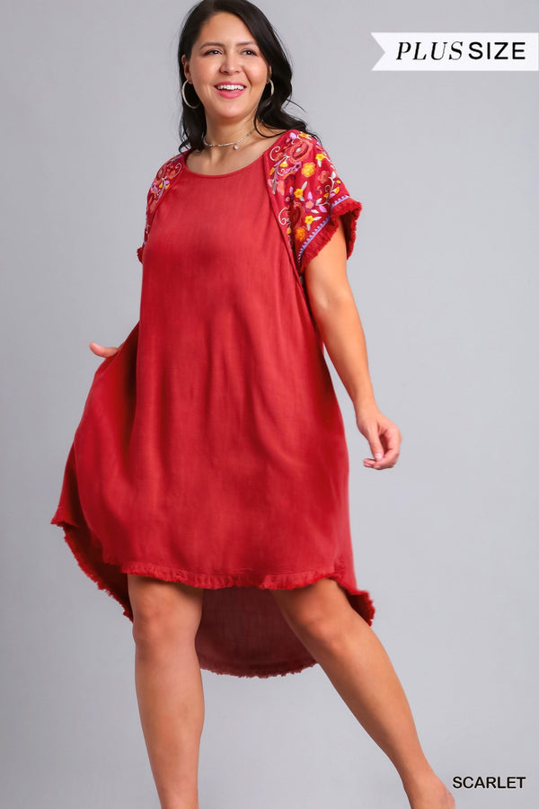 Curvy Embroidery Dress