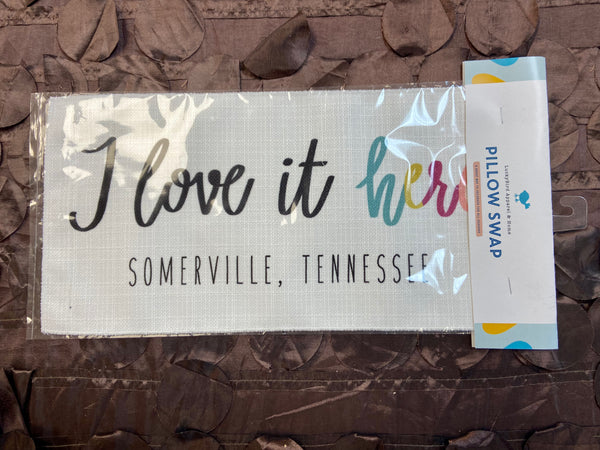 I Love It Here-Somerville Pillow Swaps