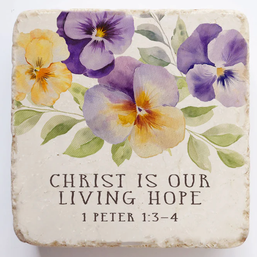 1 Peter 1:3-4  Sm Block