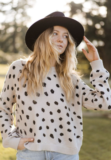 Curvy Dalmatian Print Sweater
