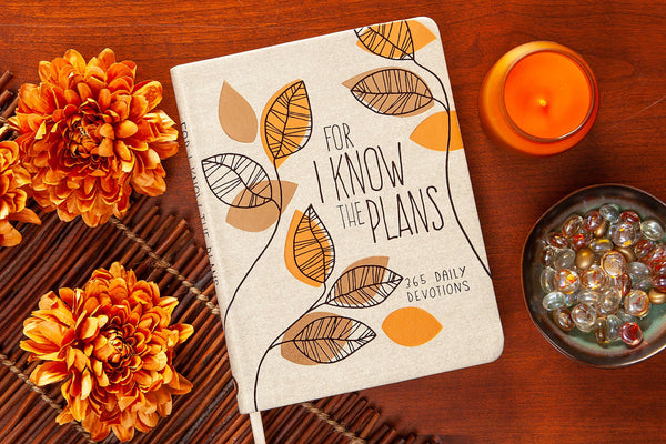 101129- For I Know the Plans