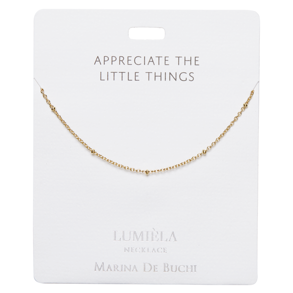03113 Appreciate the Little Things Necklace